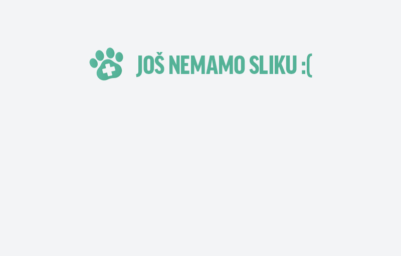 Pet Vet Care